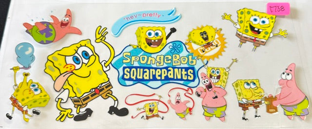 1738 sponge