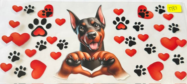 1737 dog