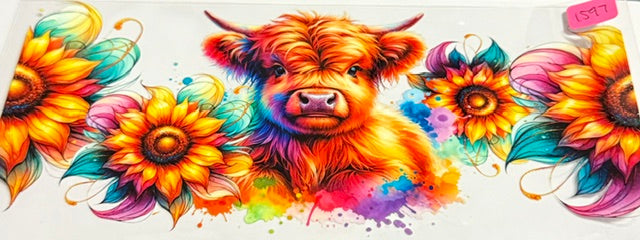 1597 cow