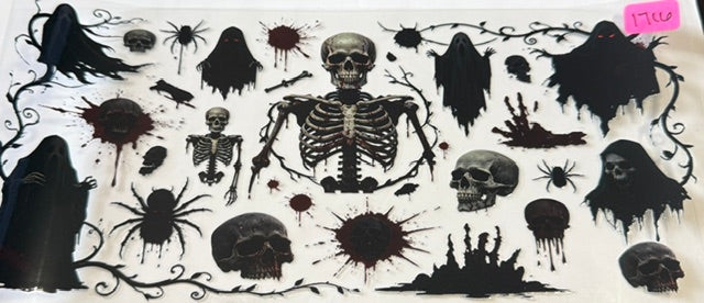 1716 skeleton